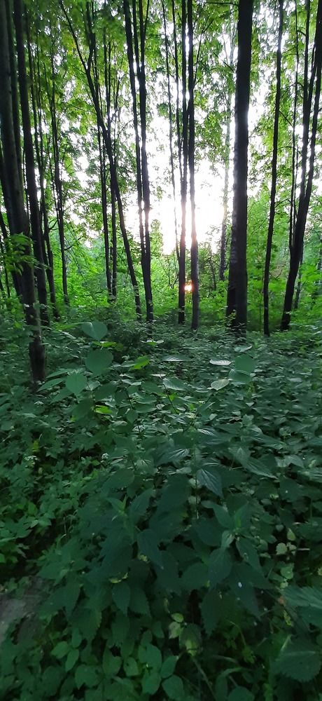 Photograph by Парфенова Александра