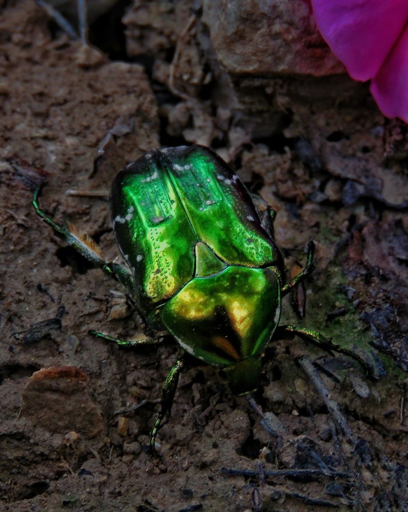 Photograph by Fatemeh Alipour