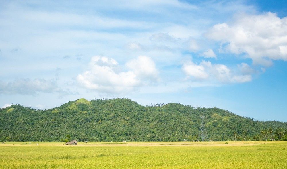 Photograph by Renz Adrian Ronda