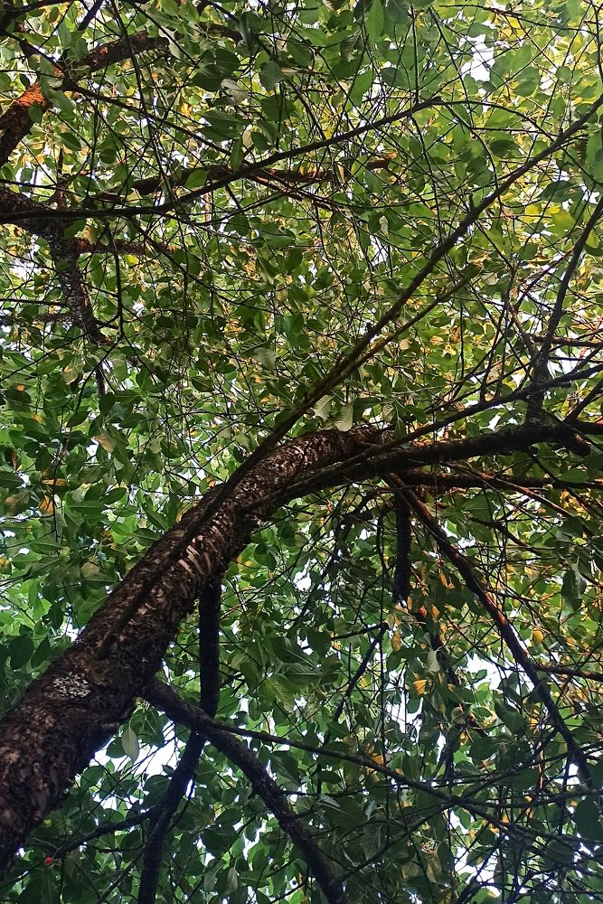 Photograph by Татьяна Леонова