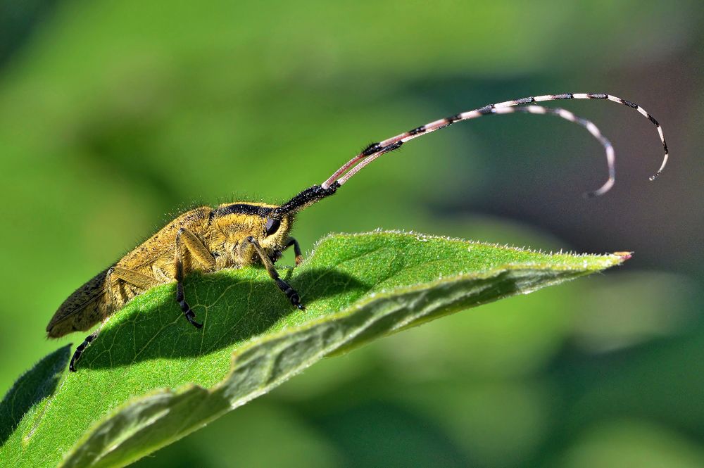 Photograph by Илфир Исламгазин