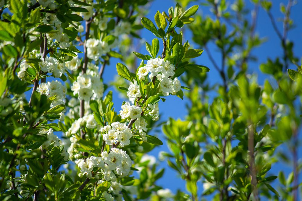 Photograph by Никита