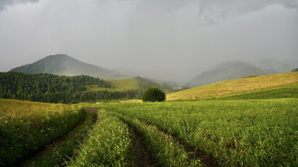 Photograph by Андрей Кузнецов