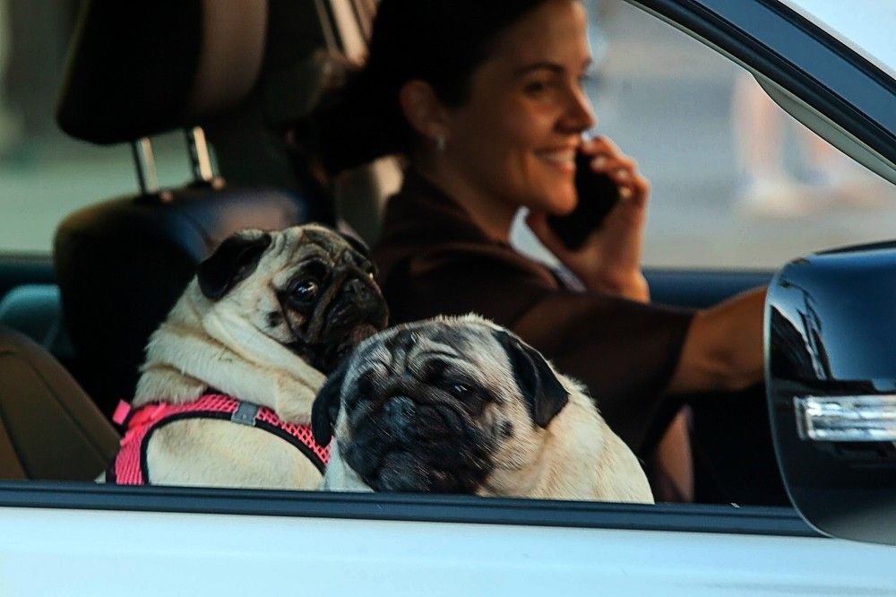 Photograph by Владимир Федин