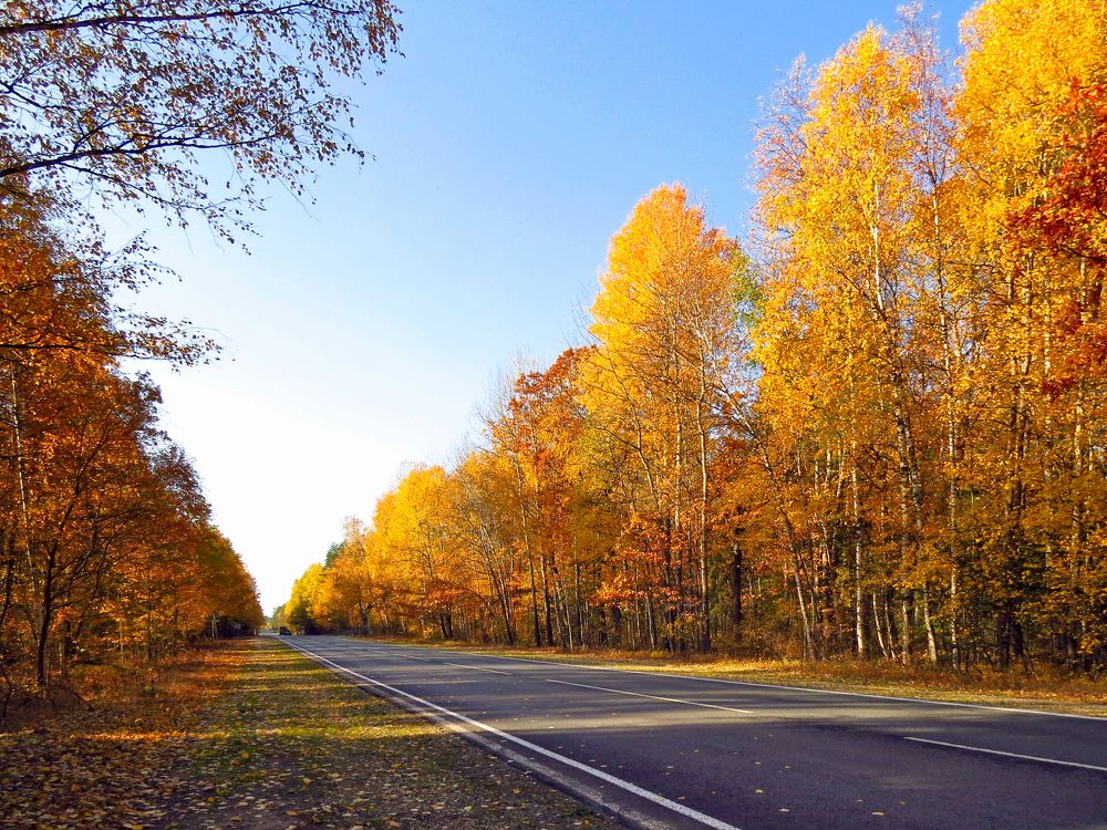 Photograph by Наташа Фишер