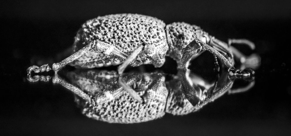 Photograph by Ryan Hanza