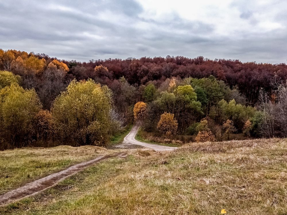 Photograph by Владимир Ковжаров