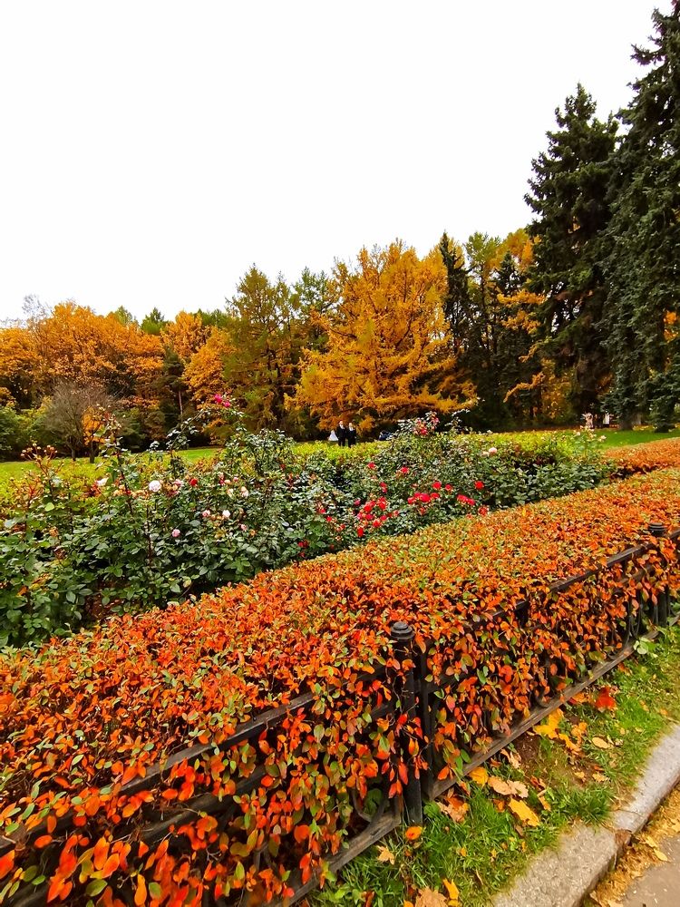 Photograph by людмила