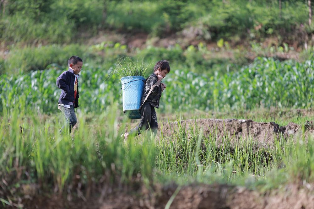 Фотография автора Luong Cung