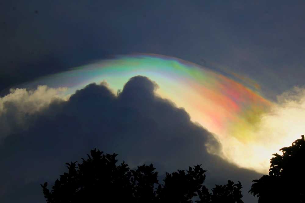 Photograph by Renz Adrian Ronda