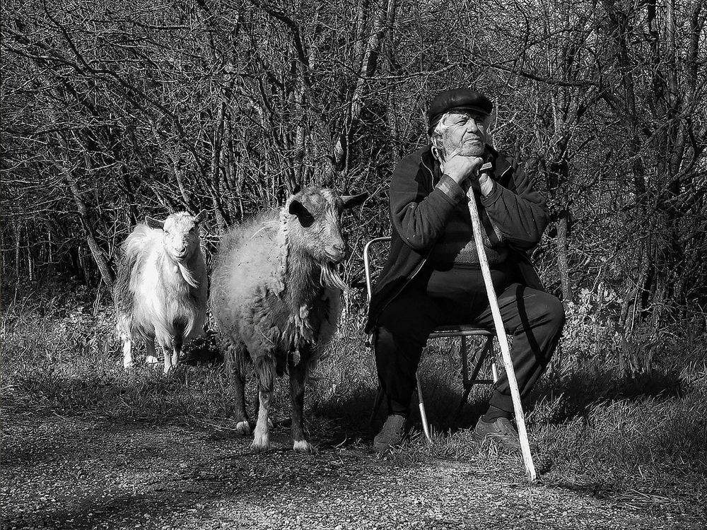 Фотография автора Елена Бурцева