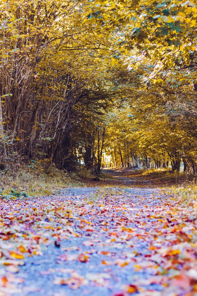 Photograph by Irina Chekanov