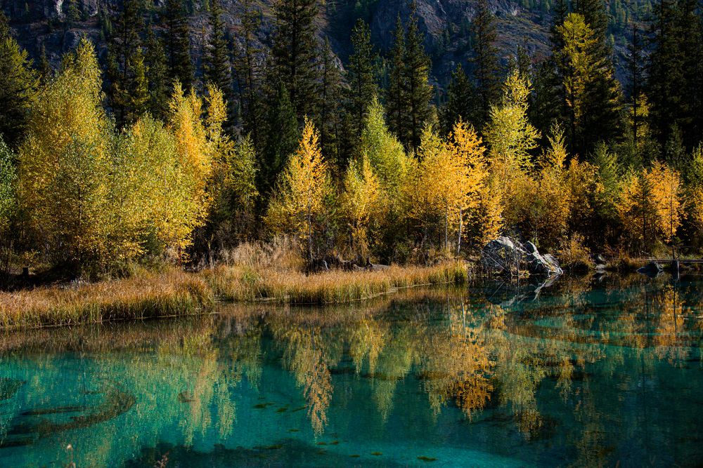 Photograph by Lisa Buzova