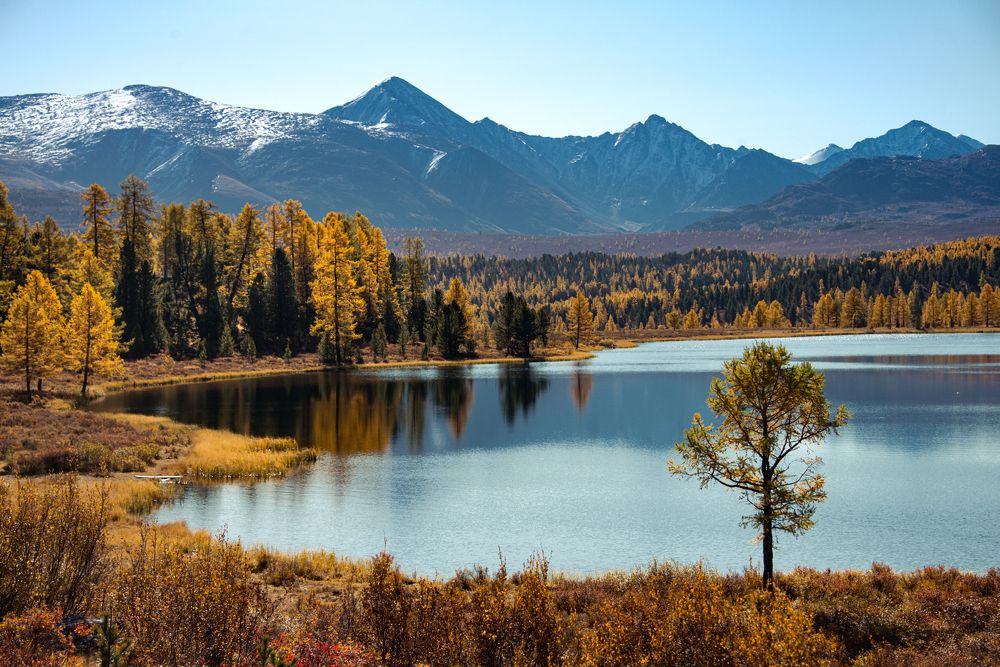 Идти своим путем