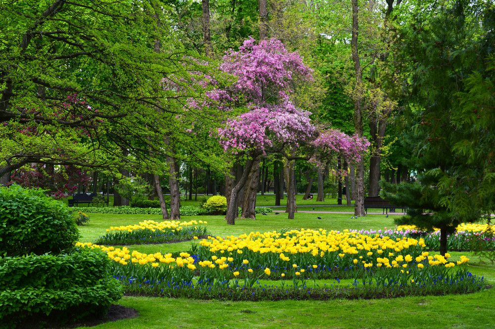 Фотография автора Юлия Кузнецова