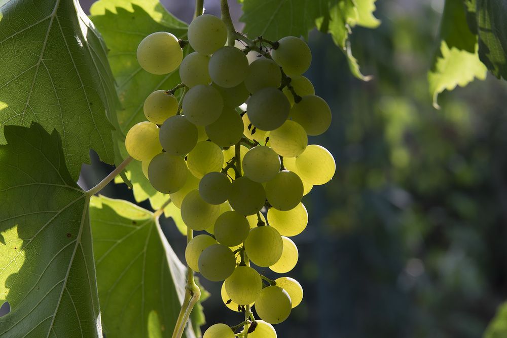 Photograph by Валерий Кондратцев