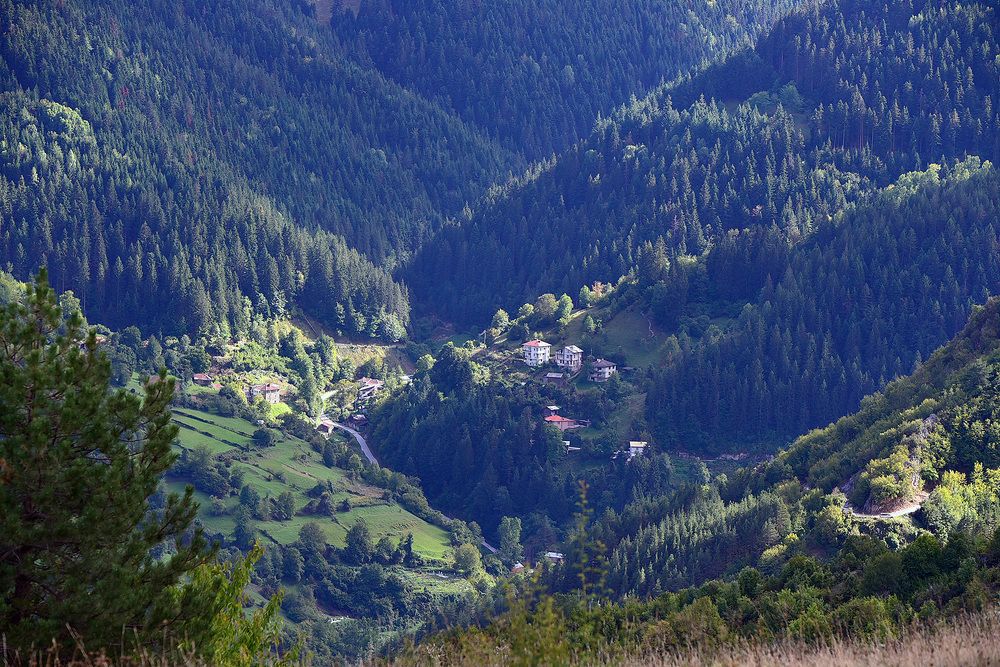 Photograph by Валерий Кондратцев