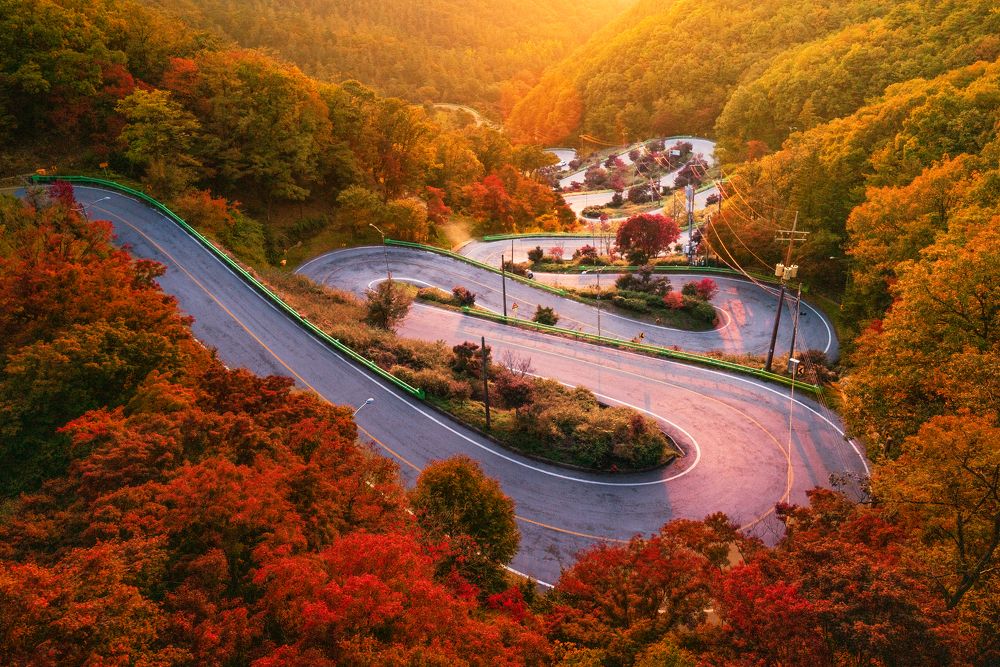 Road to Autumn
