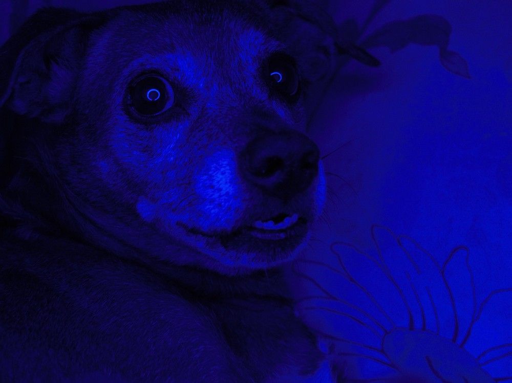 Фотография автора Таня Долгушева