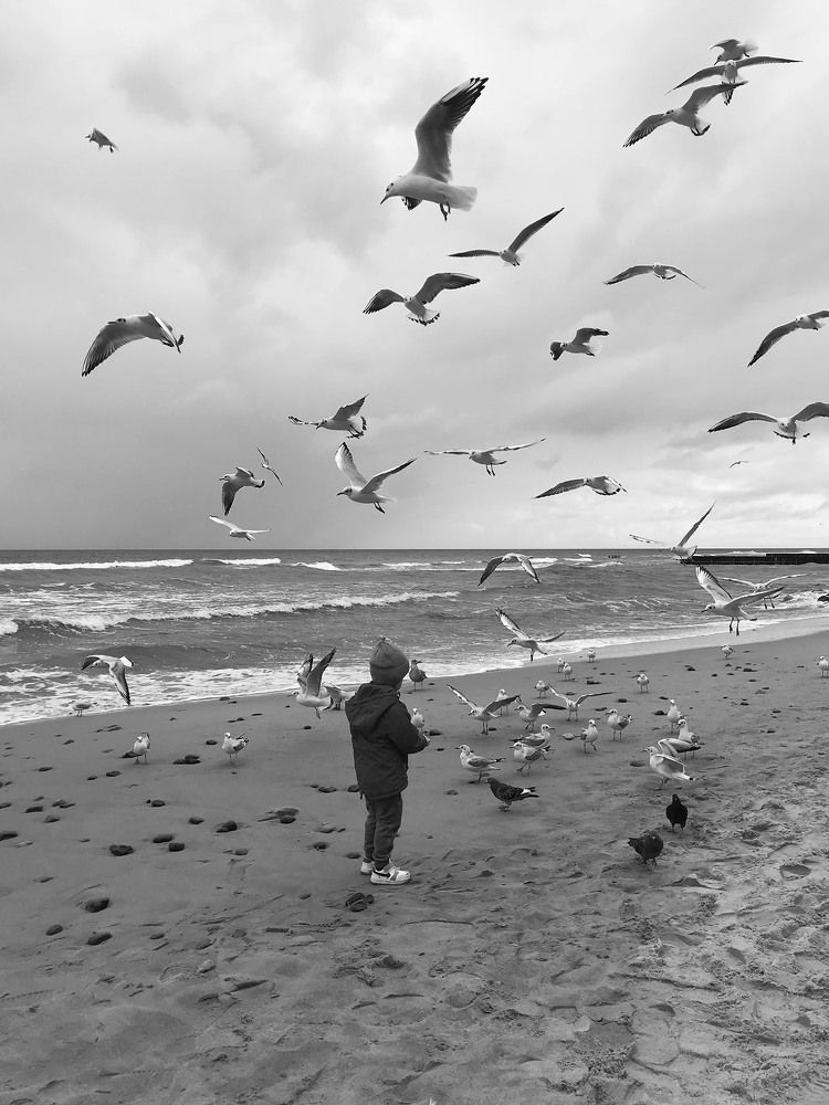 Маленький укротитель