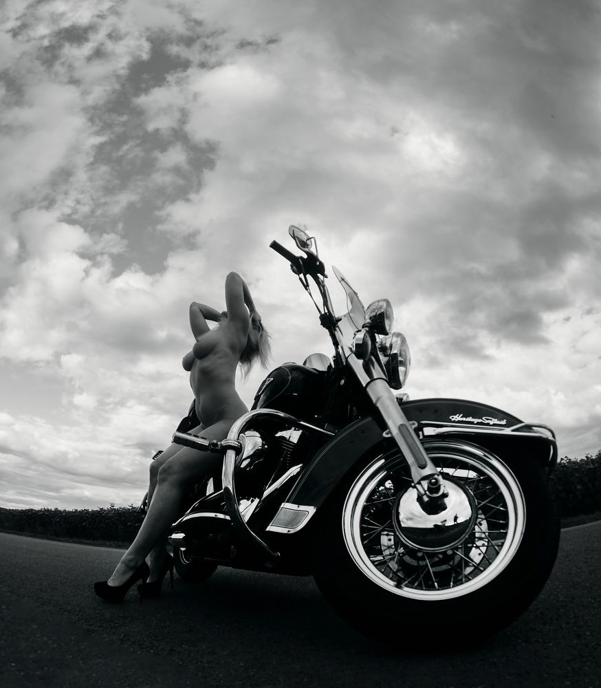 Фотография автора Елена Бурцева