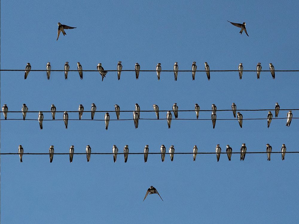 Фотография автора Елена Бурцева