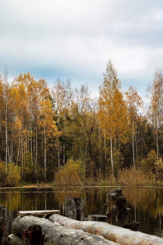 Краски осени