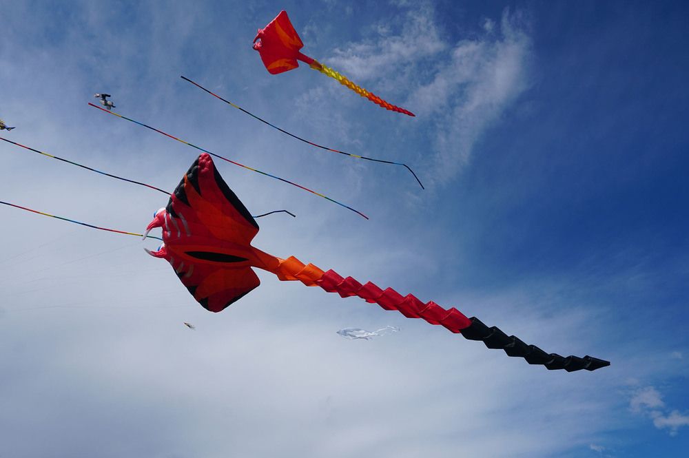 В свободном полете.