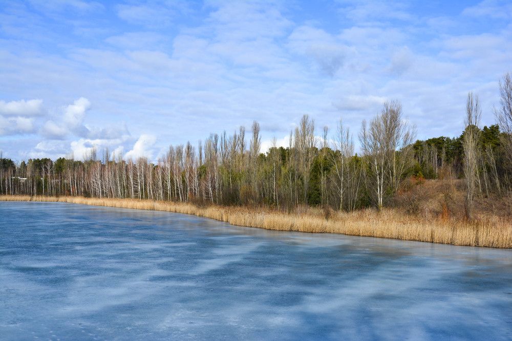 Фотография автора Юлия Кузнецова