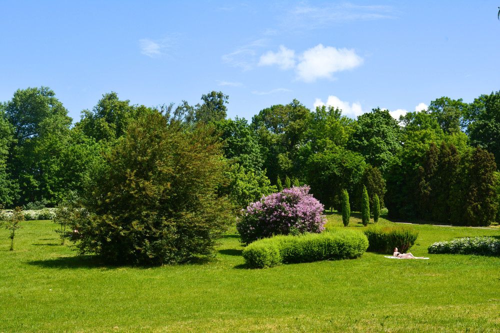 Фотография автора Юлия Кузнецова