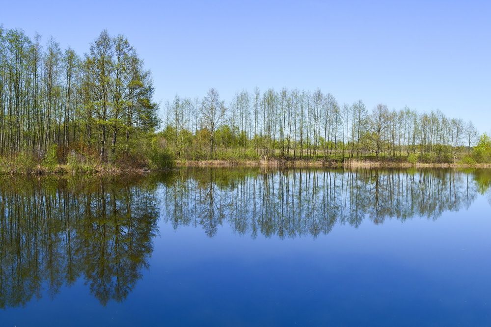 Фотография автора Юлия Кузнецова