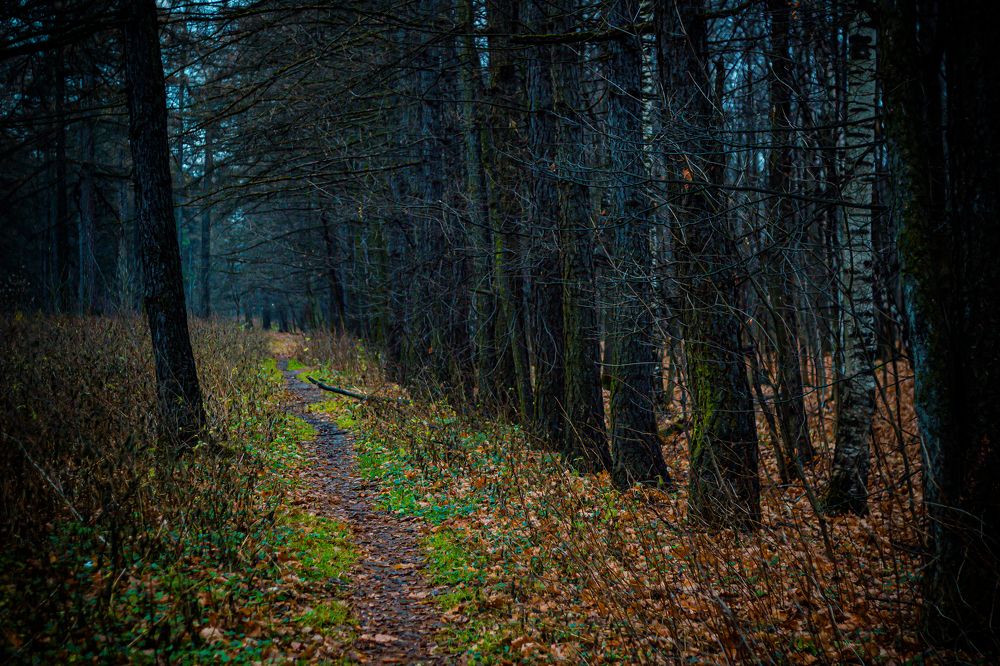 Фотография автора Михаил Наволокин