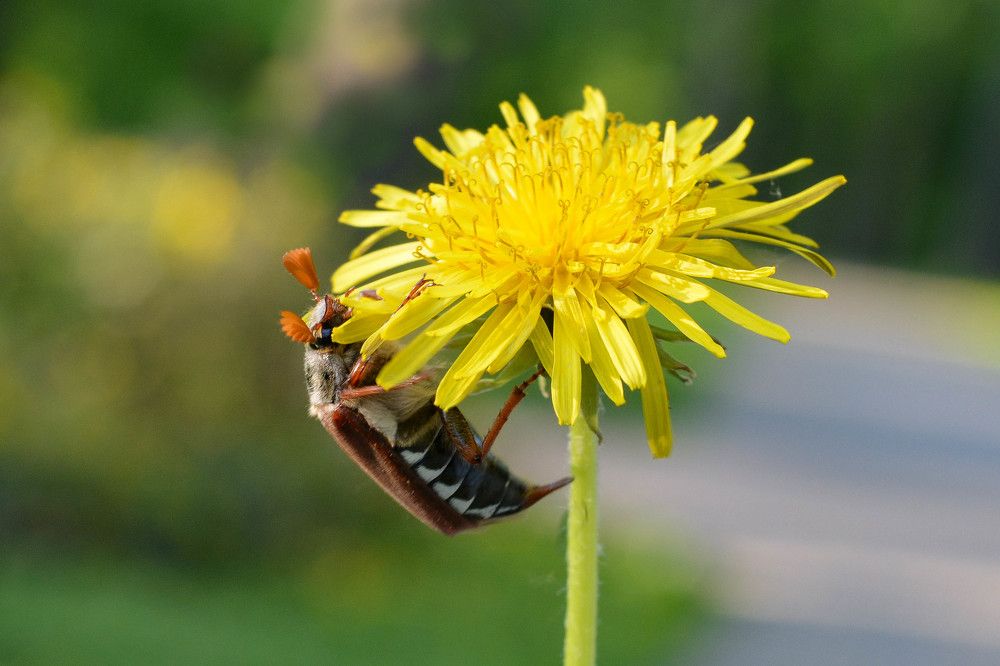 Фотография автора Юлия Кузнецова
