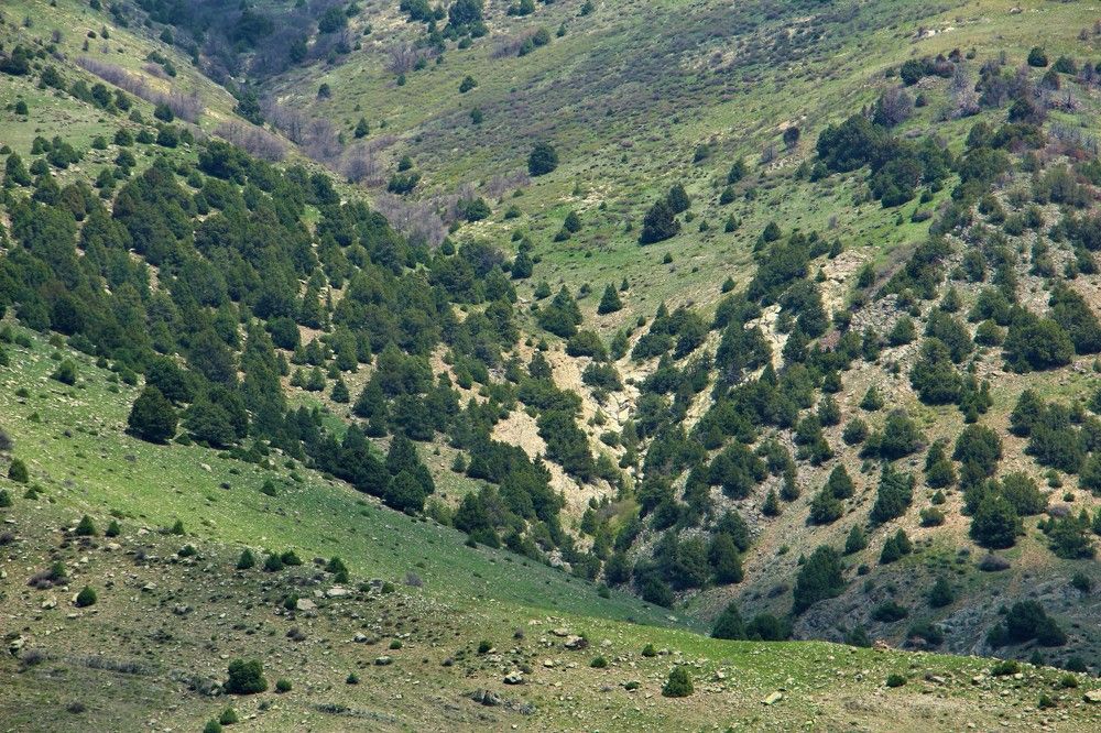 Photograph by Юлия Гудевич