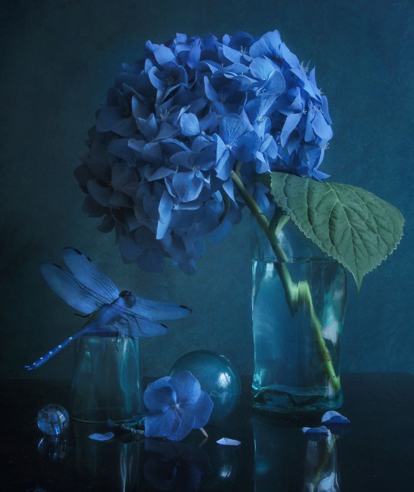 Фотография автора Vera Eremeeva