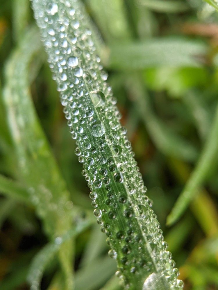 Фотография автора Ксения Шляйхер