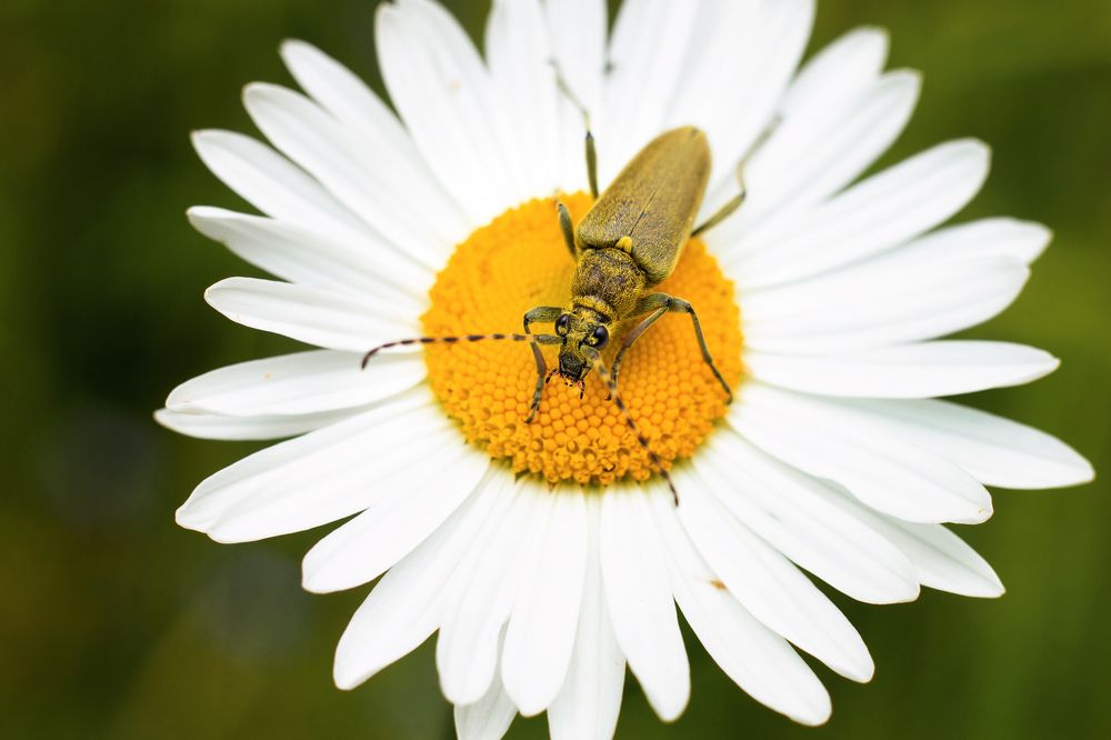Photograph by Руслана Валеева