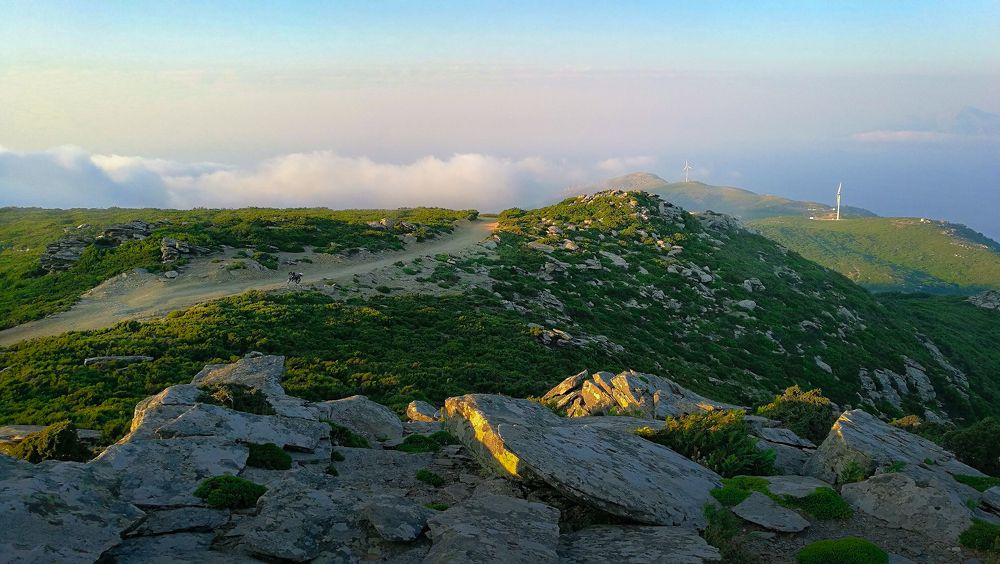 Photograph by Alexandra Sergeeva