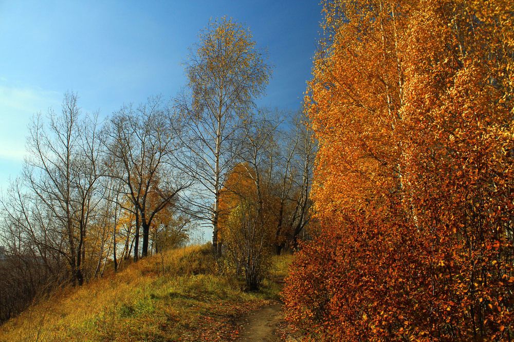 Photograph by Курочкина Диана