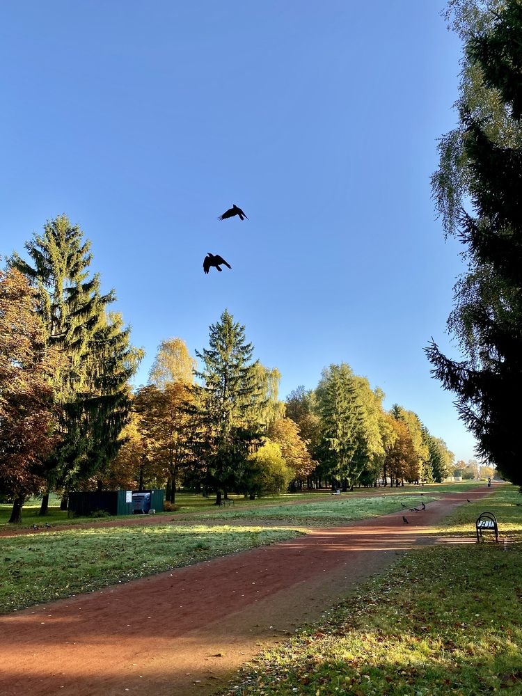 Photograph by Елена Белениник