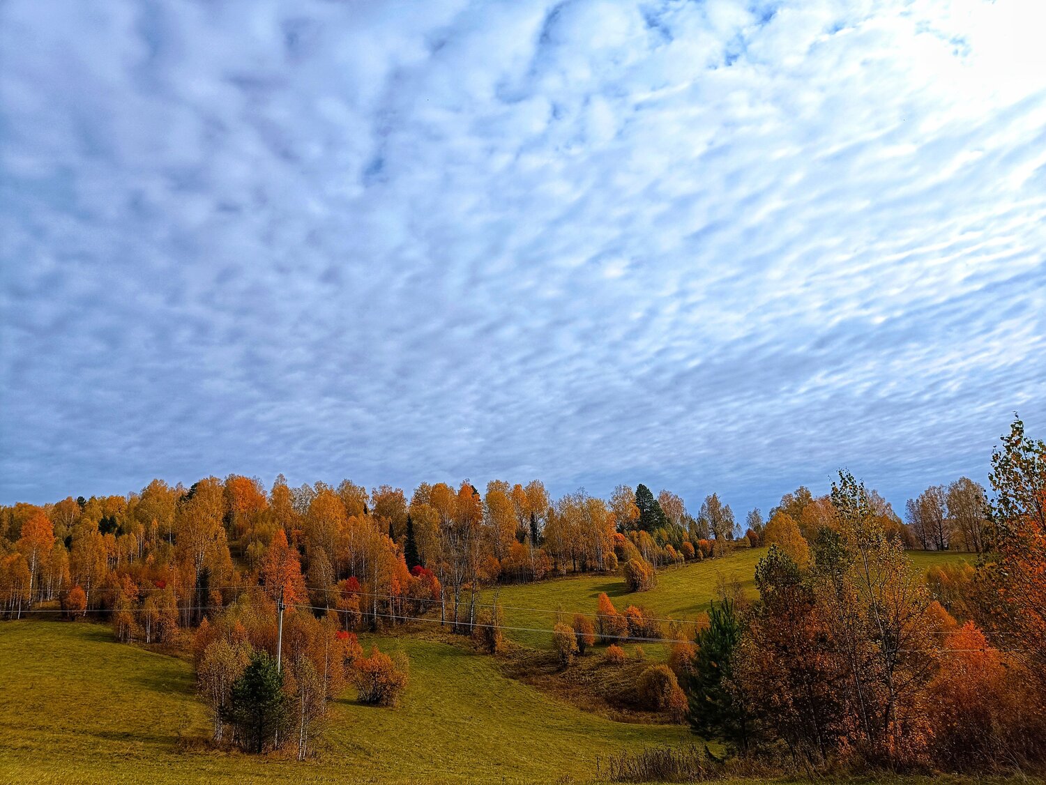 Photo #8212990