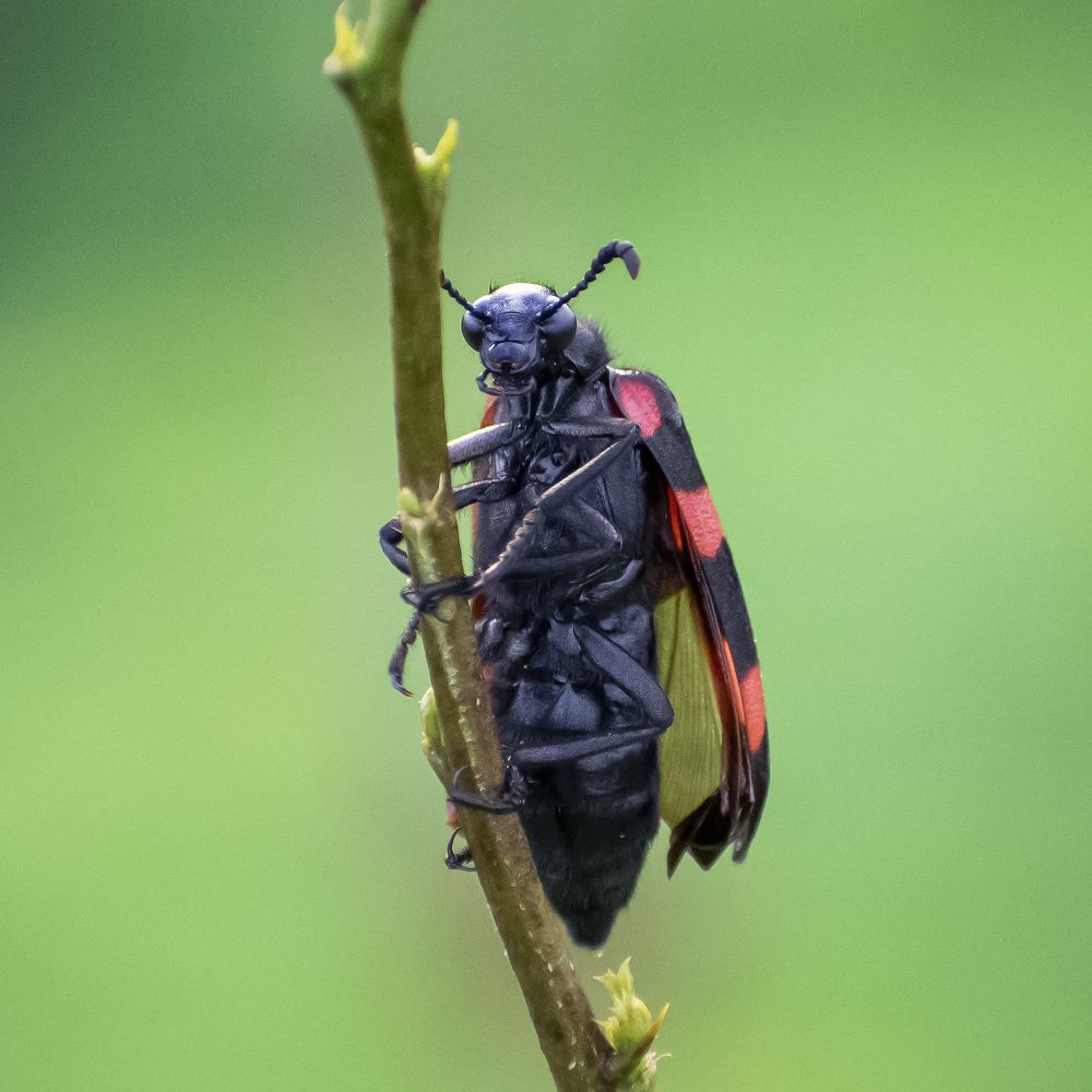 Photograph by Dhaval Solanki