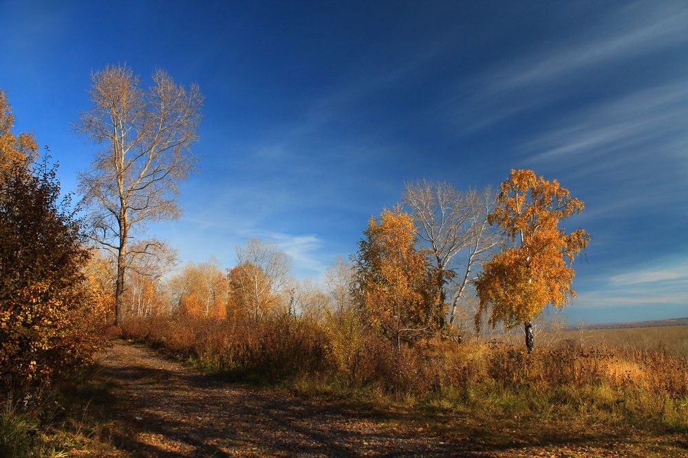 Photograph by Курочкина Диана