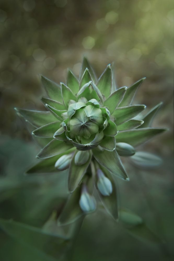 Photograph by Татьяна Колесникова