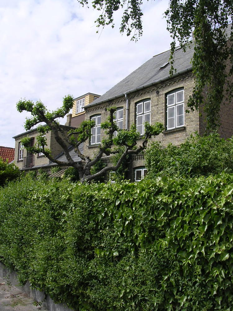 Photograph by Ирина Федичева