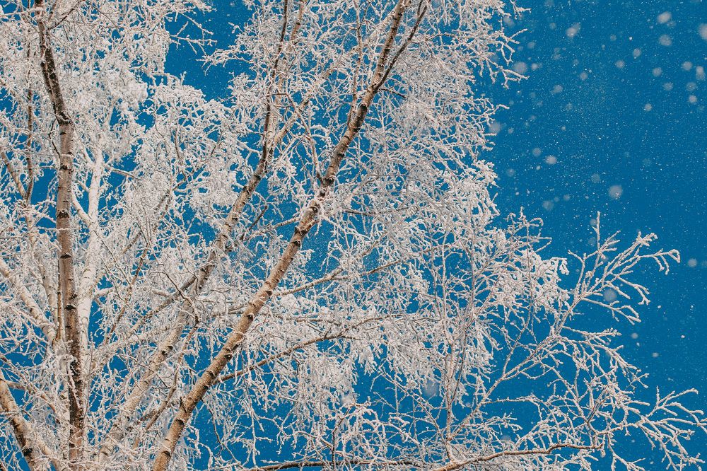 Photograph by Татьяна