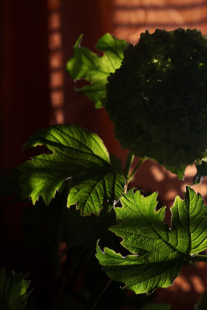 Photograph by Яна Кисловская