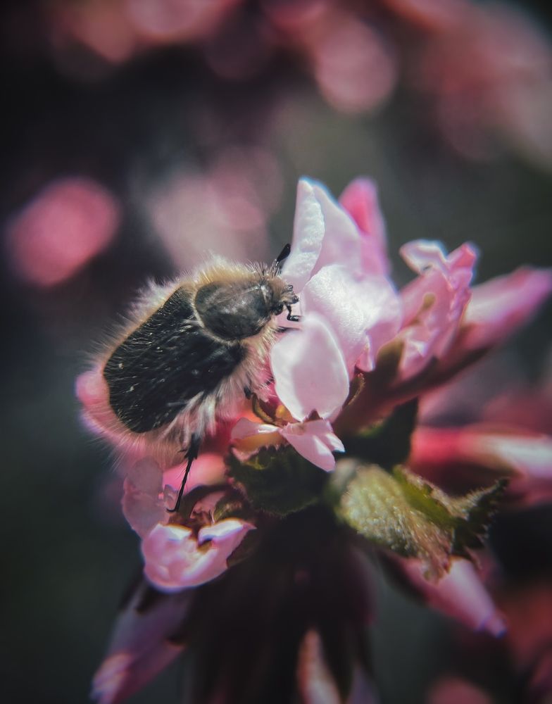 Photograph by Виктория Селютина
