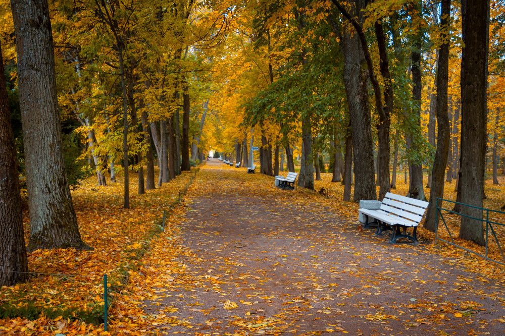 Photograph by Диана Бородзе