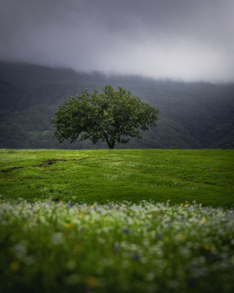 Photograph by Abhijeet Sawant